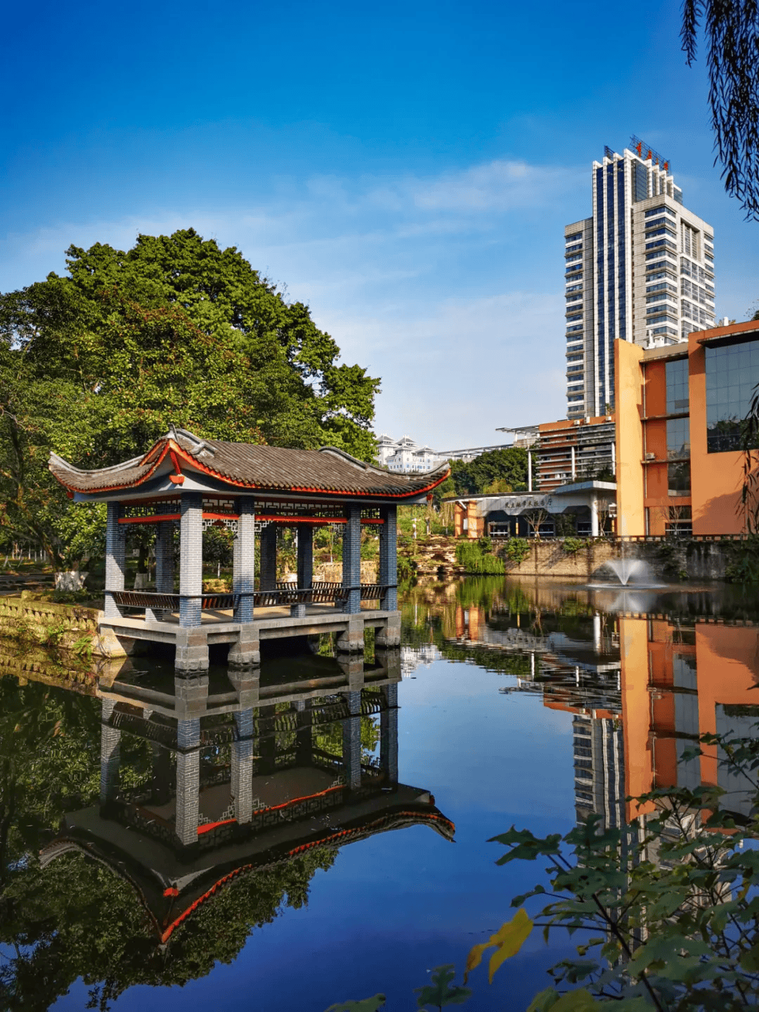 重庆大学生掉进化粪池