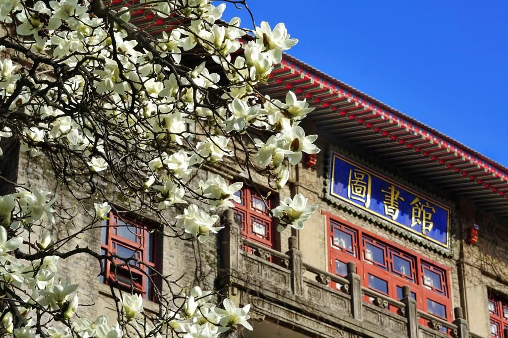 陕西师范大学教务处