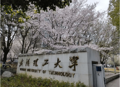 武汉理工大学获得学位证书的前提条件