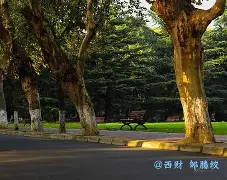 西南财经大学读出来干什么