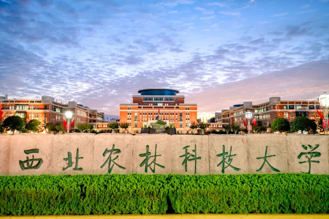 西北农林科技大学2024录取分数线是多少